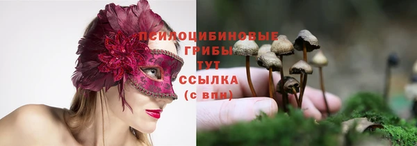 таблы Магадан