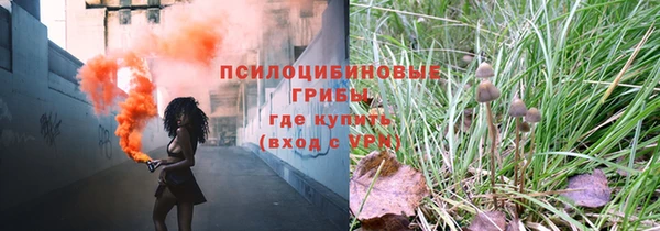 spice Верея
