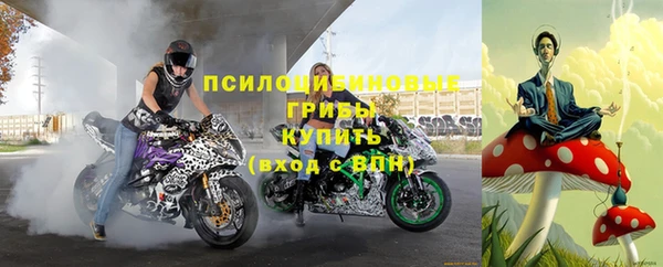 spice Верея