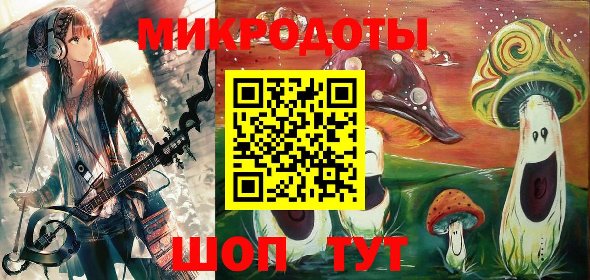 Псилоцибиновые грибы Psilocybine cubensis Волхов