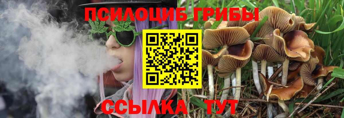 Псилоцибиновые грибы MAGIC MUSHROOMS  Вход с VPN  Волхов 